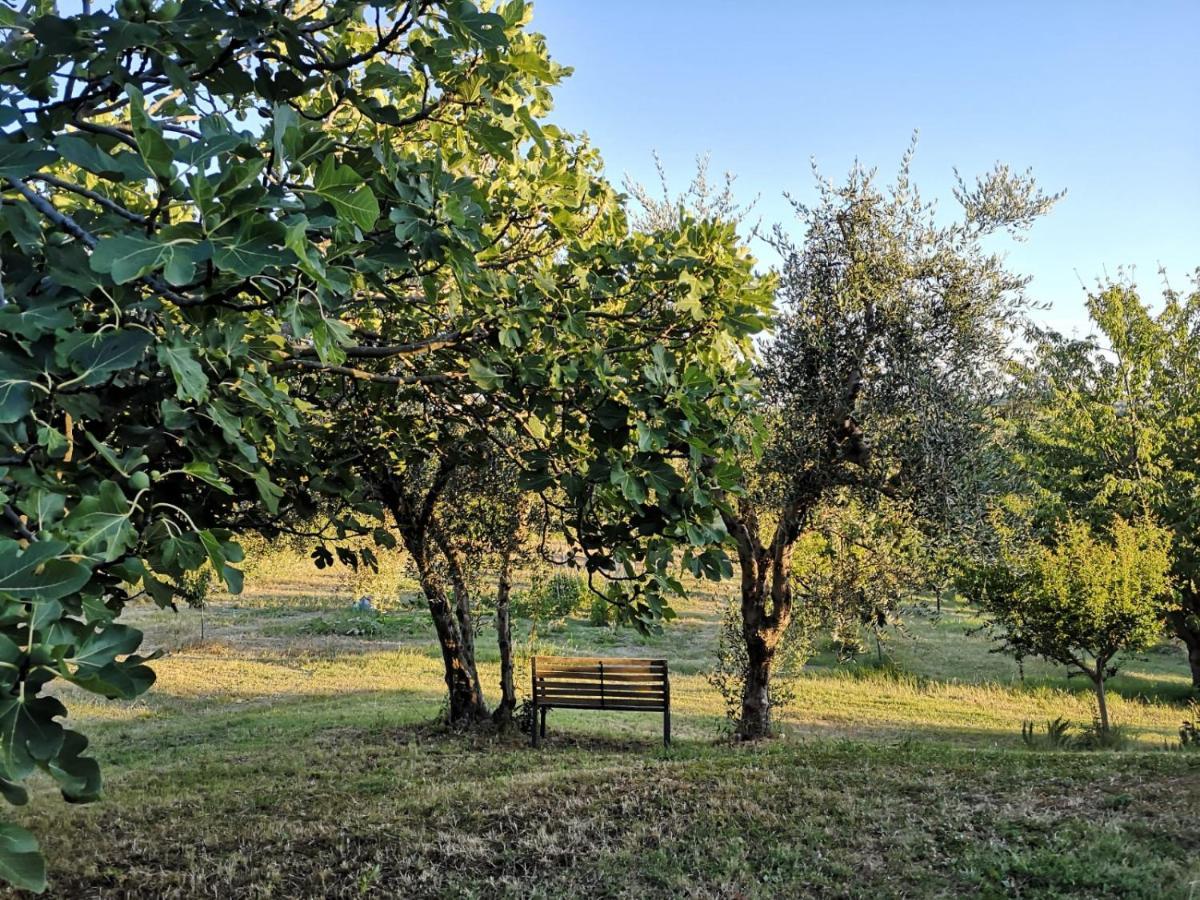 Agriturismo I Ciliegi Appartamento Ginestra Montignano Εξωτερικό φωτογραφία