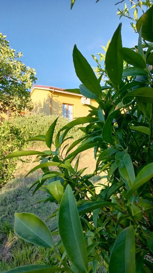 Agriturismo I Ciliegi Appartamento Ginestra Montignano Εξωτερικό φωτογραφία