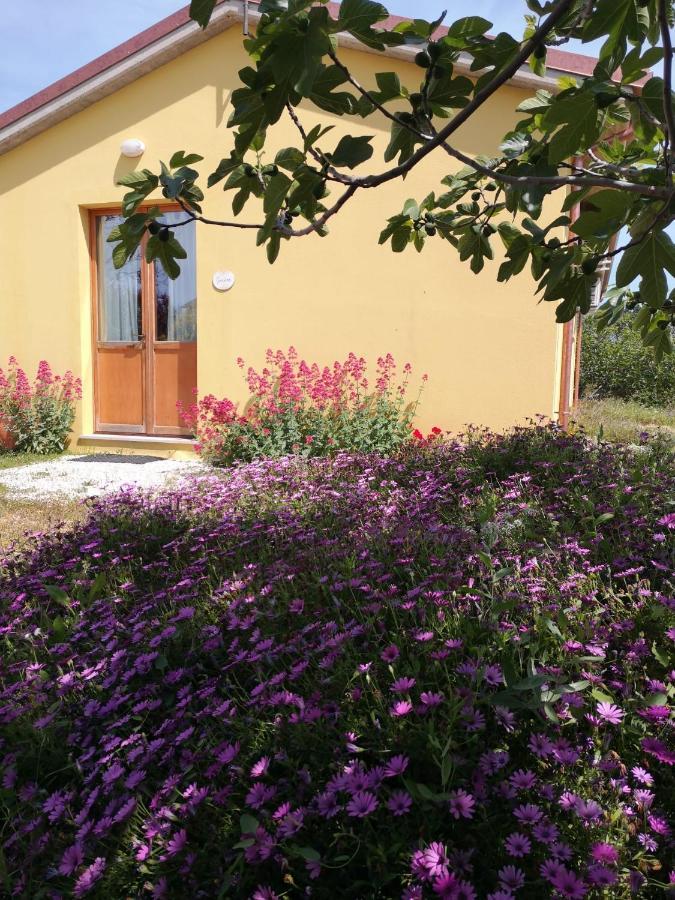 Agriturismo I Ciliegi Appartamento Ginestra Montignano Εξωτερικό φωτογραφία